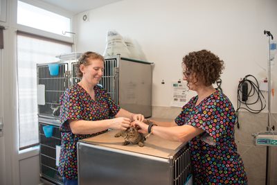 Nos services hospitalisation et soins