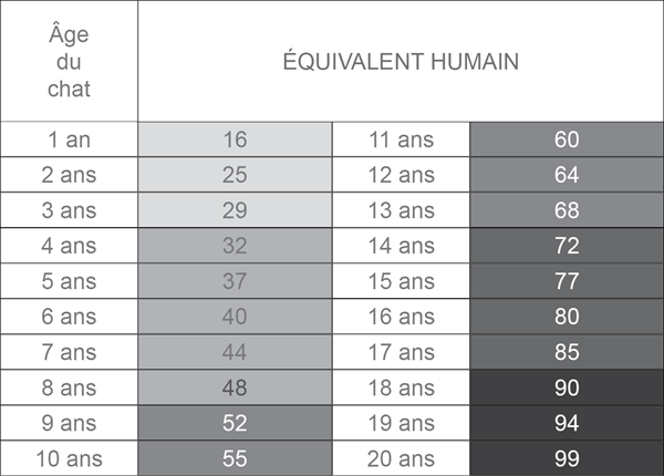 Le Chat Senior Clinique Veterinaire A Pezenas Et Roujan Pezenas Vet Le Chat Senior Clinique Veterinaire A Pezenas Et Roujan Pezenas Vet